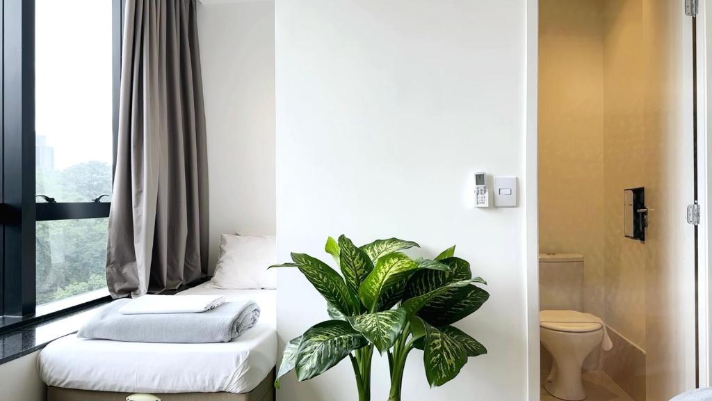 圣保罗Capsula Hotel Sao Paulo - Paulista的一间设有两张床和盆栽的房间