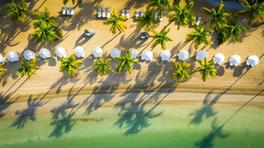 Old Road卡莱尔湾酒店的享有海滩的空中景致,配有椅子和棕榈树