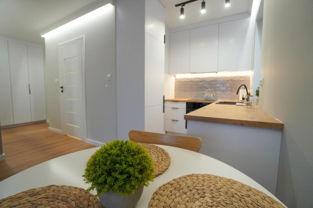 普沃茨克Apartament Manhattan的厨房配有桌椅和水槽。