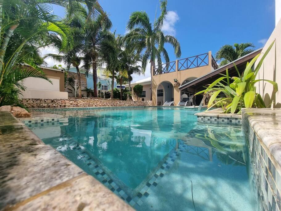 威廉斯塔德Villa Hye的一座棕榈树游泳池和一座房子