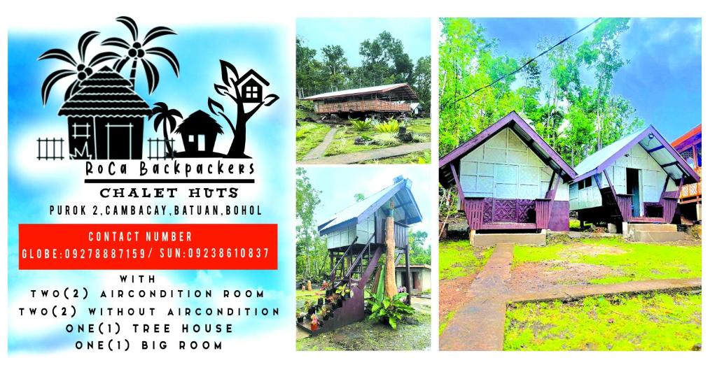 BatuanROCA'S HOMESTAY Backpackers Chalet Bohol的房屋四张照片的拼贴