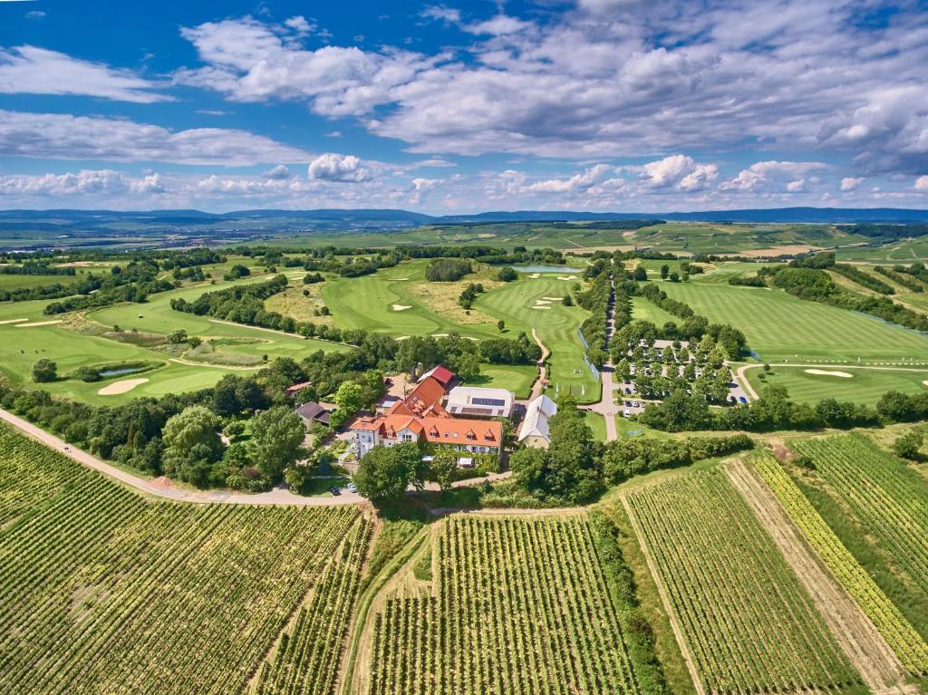 Sankt JohannHofgut Wißberg - Das Weinberghotel的葡萄园内房屋的空中景观