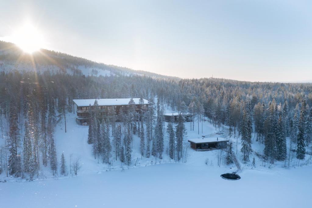 普哈圣山Kurula's Resort的雪覆盖森林中间的滑雪小屋