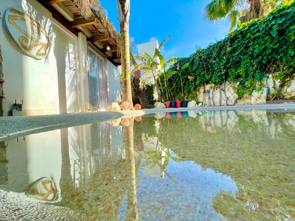 伊维萨镇Casa Klod Ibiza的建筑物前的水池