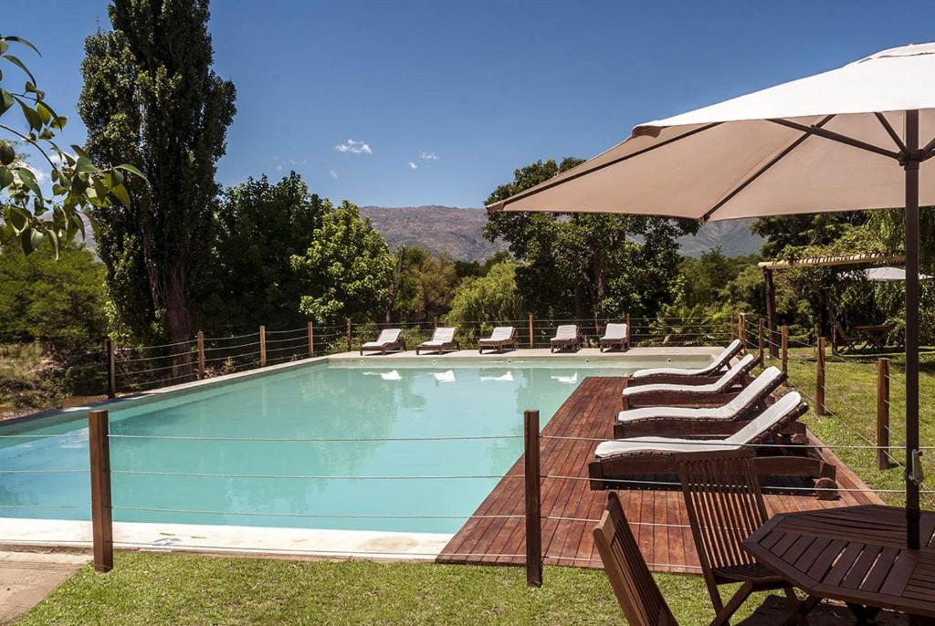 诺诺诺诺大酒店的一个带椅子和遮阳伞的游泳池
