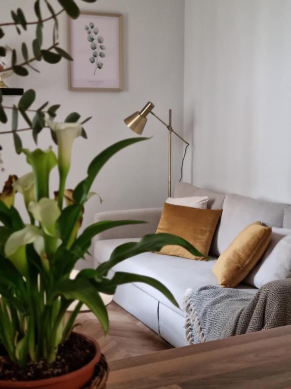 格拉纳达Cozy apartment in the city center的带沙发和植物的客厅