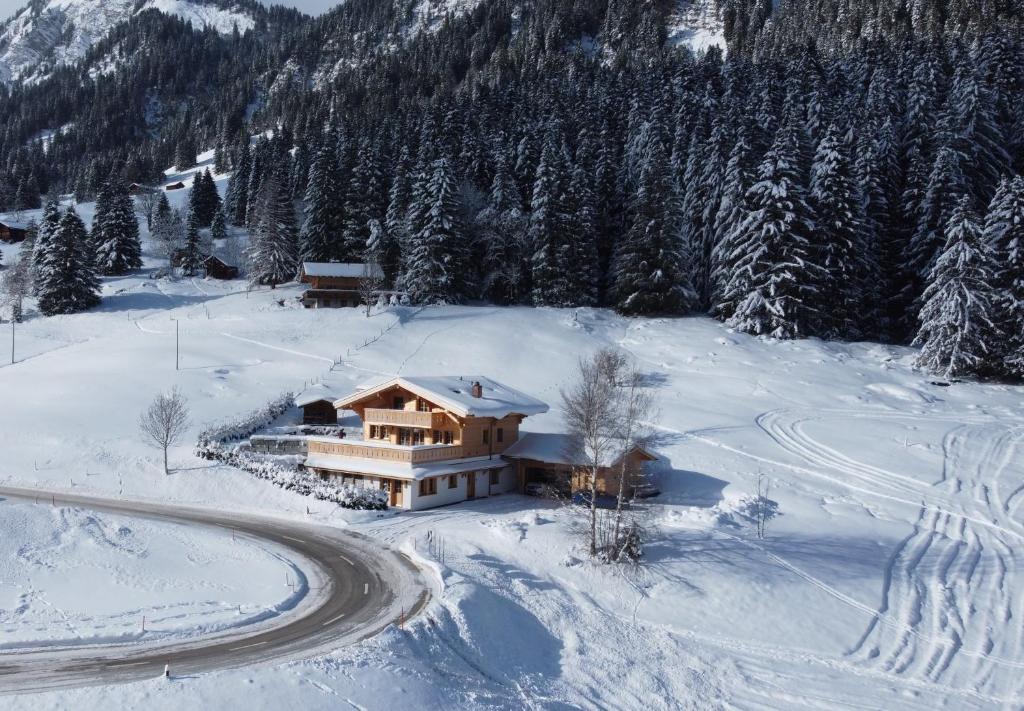 GsteigChalet mit Kino und Jacuzzi in Gsteig b. Gstaad的山里有一条路的雪地房子