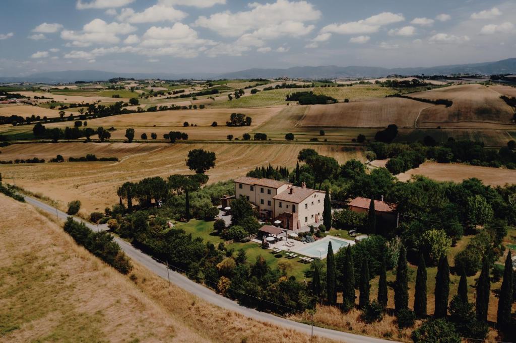 CignanoPoggio Martino的田野房屋的空中景观