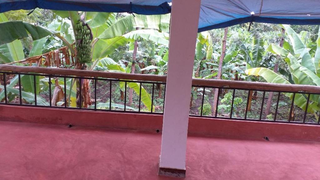 姆托瓦姆布The Hondo Hondo House, Mto wa Mbu的阳台设有围栏,后方树木林立