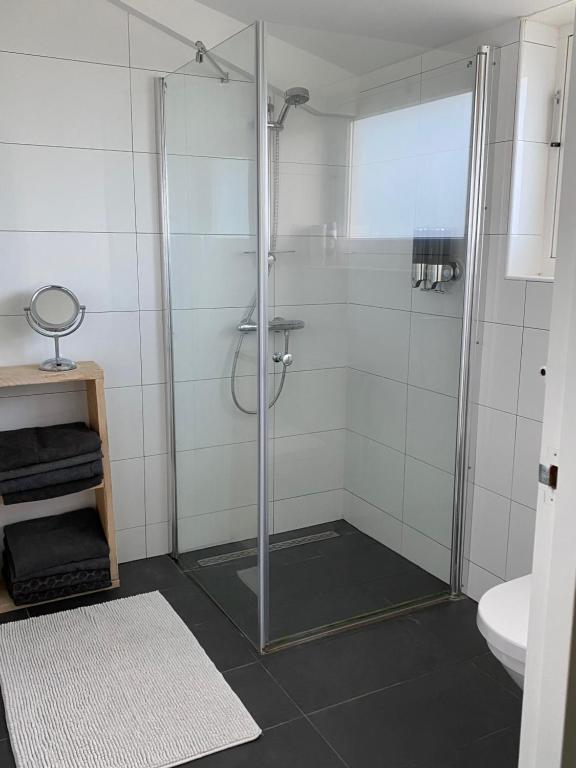 ChaamSlapen bij Uppruna的浴室里设有玻璃门淋浴