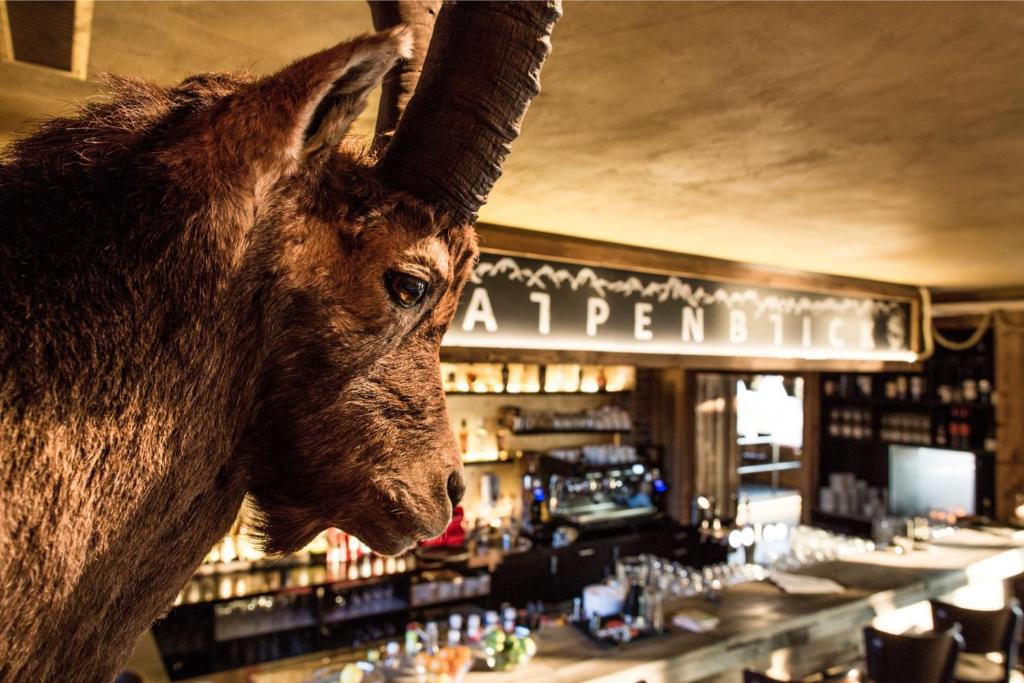 韦吉斯Alpenblick Weggis - Panorama & Alpen Chic Hotel的站在酒吧顶上的动物