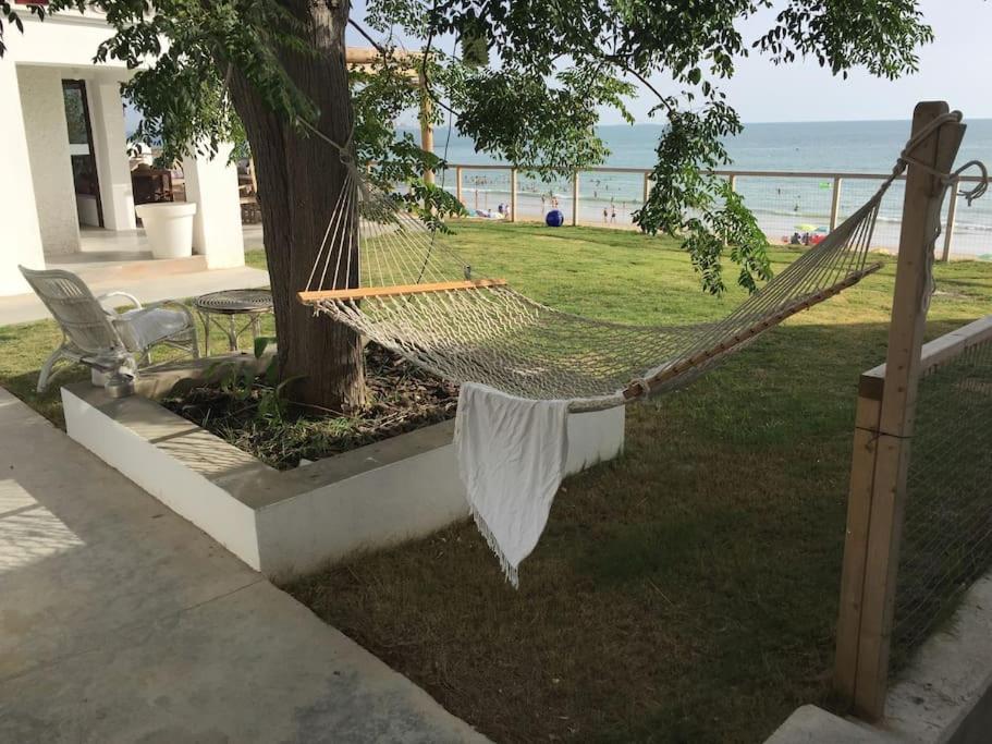 圣玛丽亚港Casa de invitados, a pie de playa, en La Torre Verde的海滩旁树上的吊床