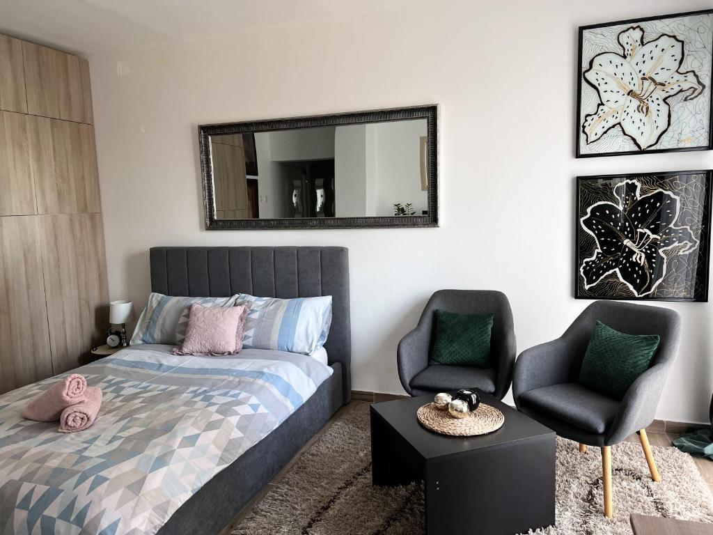 奥西耶克Studio Apartman Lucija的一间卧室配有一张床、一把椅子和镜子