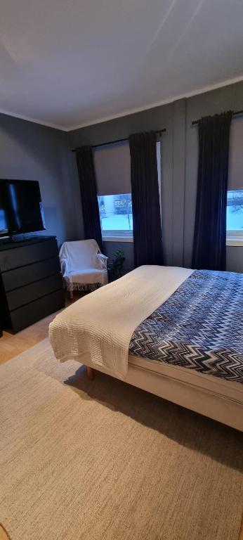 特罗姆瑟Lund - Exellent Apartment的一间卧室设有一张床、一台电视和窗户。