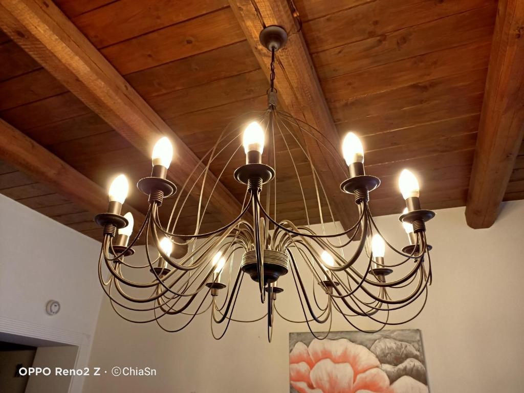 洛雷托A Casa di Marti的吊灯挂在木天花板上