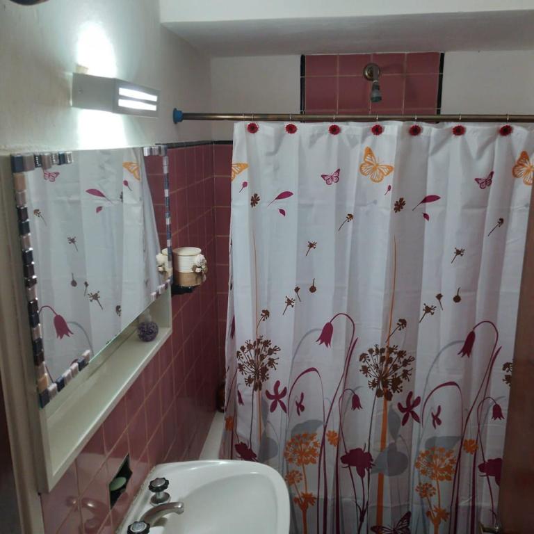 坦迪尔chalet de tata的浴室设有水槽和带蝴蝶的浴帘
