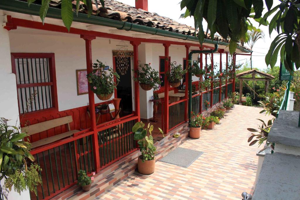 马尼萨莱斯Eco Lodge La Juanita的旁边是种盆栽植物的建筑