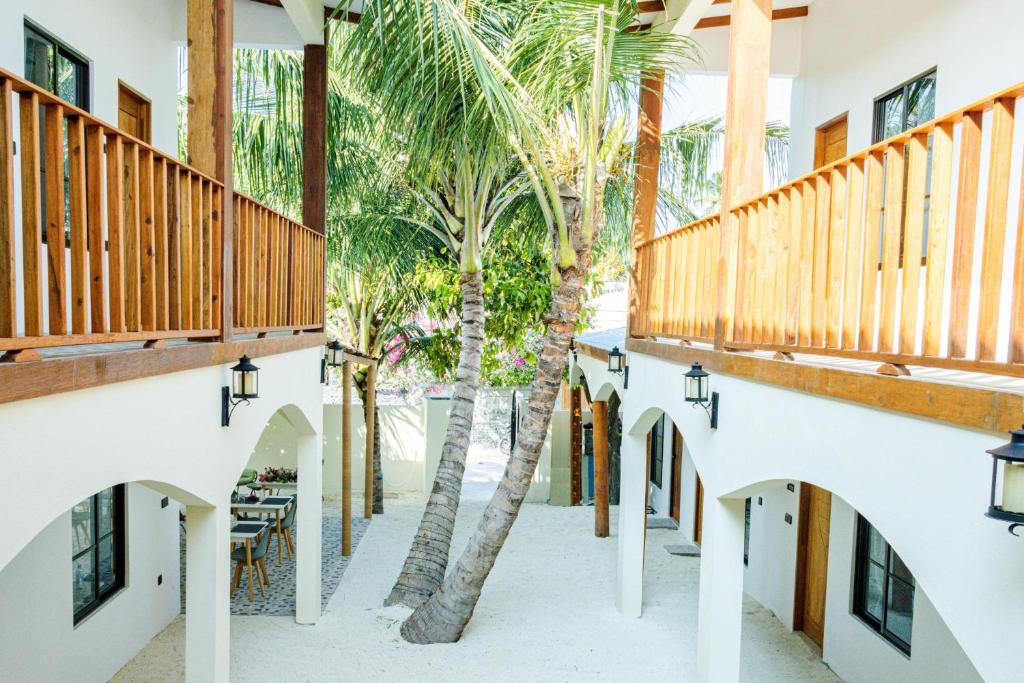 福拉杜岛Ahiva Village的一座种有棕榈树的庭院