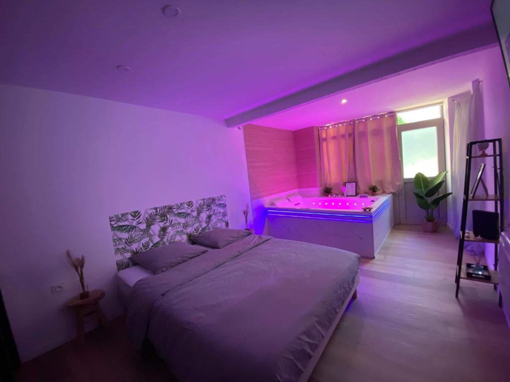 蒙贝利亚尔Appartements du Château的一间卧室配有一张床和一个紫色灯光浴缸