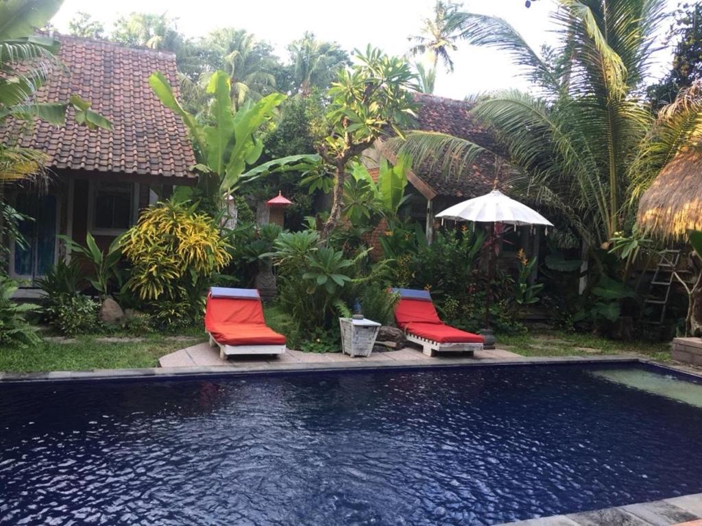 特贾库拉Pranajaya Villa at Desa Wisata Tejakula的一个带两把椅子和遮阳伞的游泳池