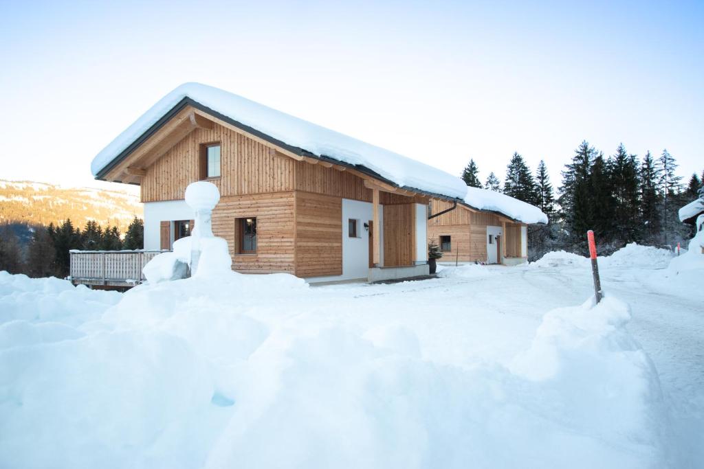 斯拉泽Chalets und Apartments Hauserhof Nassfeld的积雪覆盖的房屋