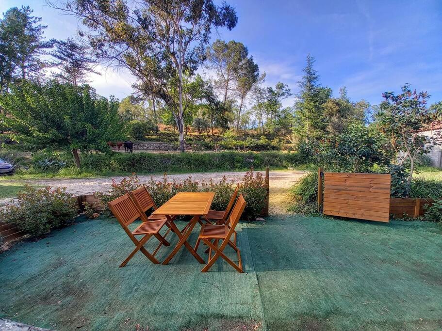勒吕克Rez de villa à la campagne的草坪上摆放着一张木桌和两把椅子