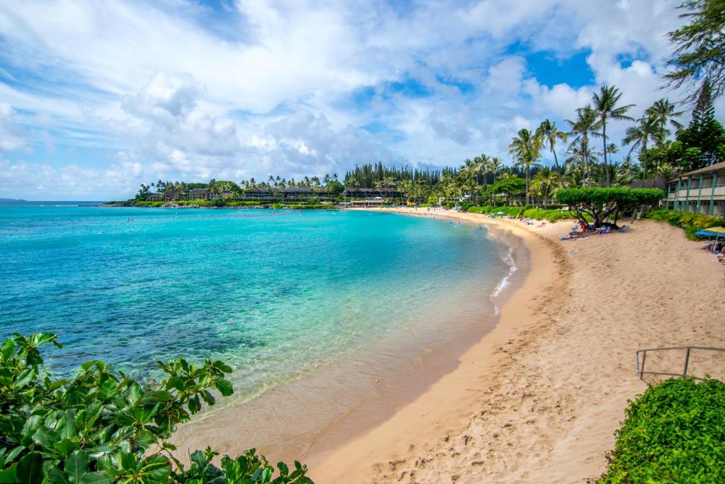 拉海纳Napili Shores Maui by OUTRIGGER - No Resort & Housekeeping Fees的棕榈树掩映的海滨