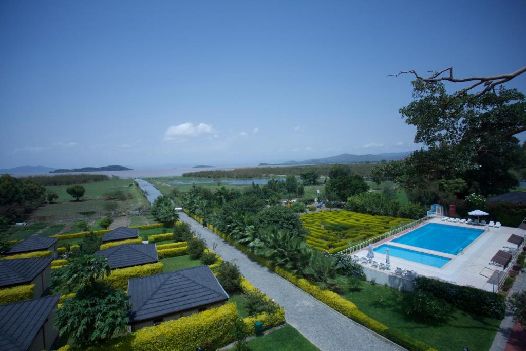 ZiwayHaile Resort Ziway Batu的享有带游泳池的别墅的空中景致