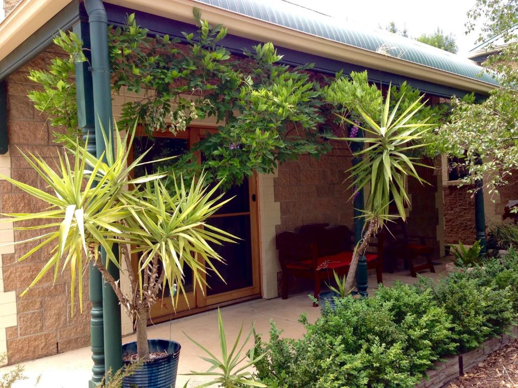 克莱尔克拉雷瓦小屋住宿加早餐旅馆的前廊上种有植物的房子