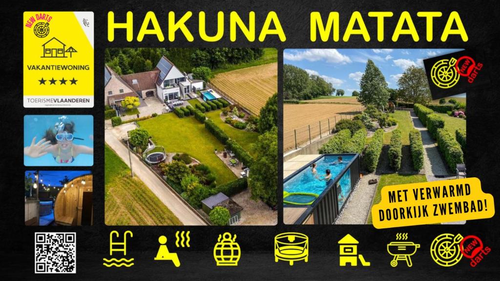 赫拉尔兹贝亨Vakantiewoning Hakuna Matata的房屋和游泳池的照片拼凑而成