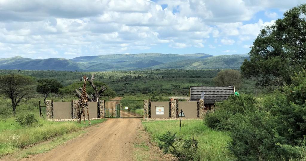 MaguduAmakhosi Safari Lodge & Spa的一条土路,有一座建筑,有山地背景