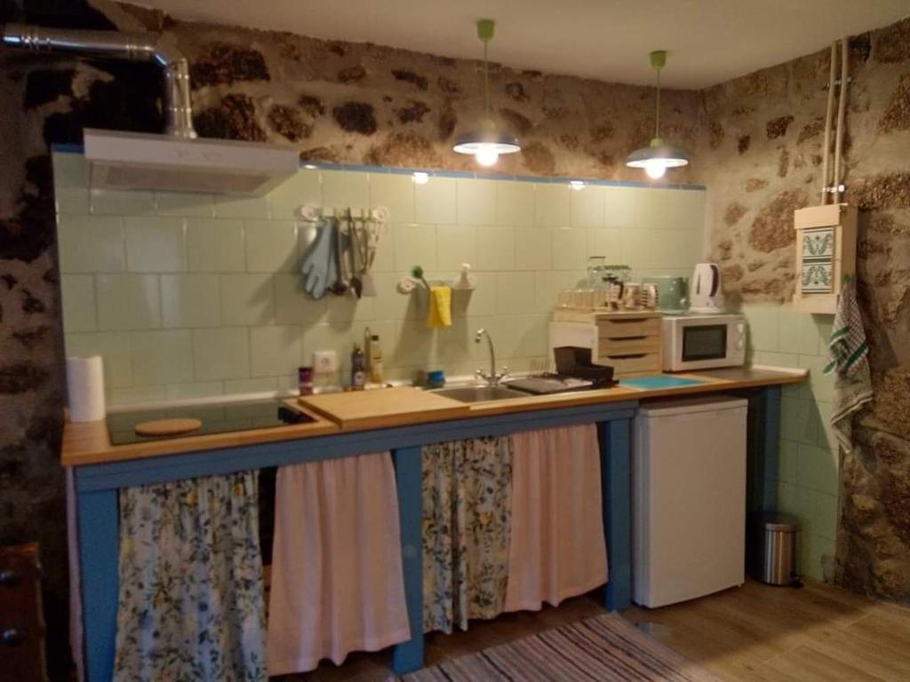 布拉加Casa do Carregal的厨房配有带水槽和微波炉的台面