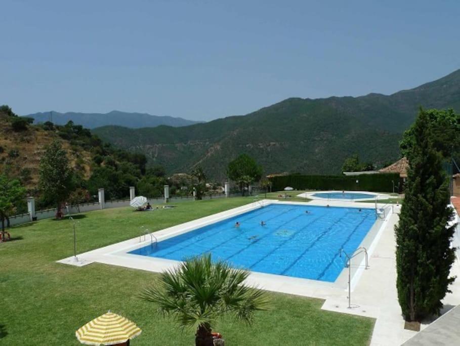 伊斯坦Casa Rural Manantial de las Jaras的庭院中间的大型游泳池