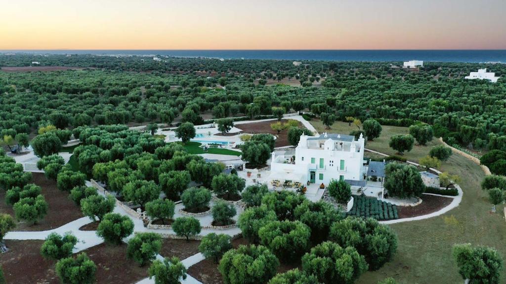 萨维勒特里Boutique Hotel Masseria Sottomasi的享有白色树屋的空中景致