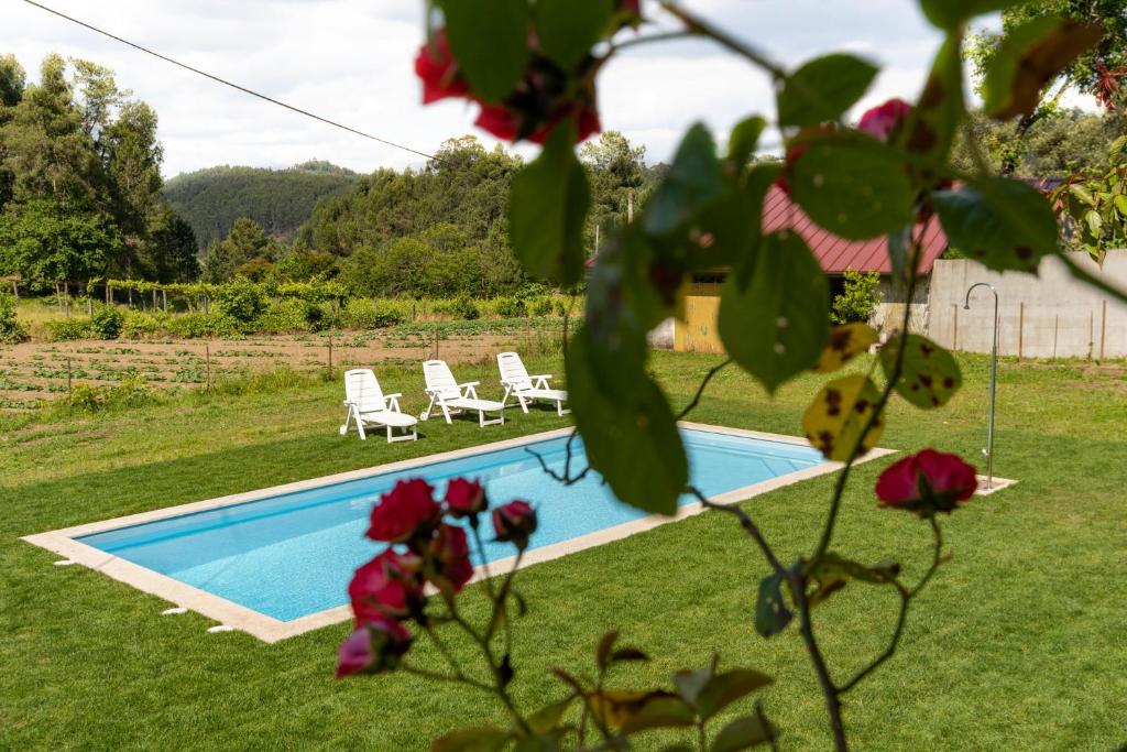 塞洛里库迪巴什图Casa do Castelo em Arnóia的庭院内的游泳池,配有两把草坪椅