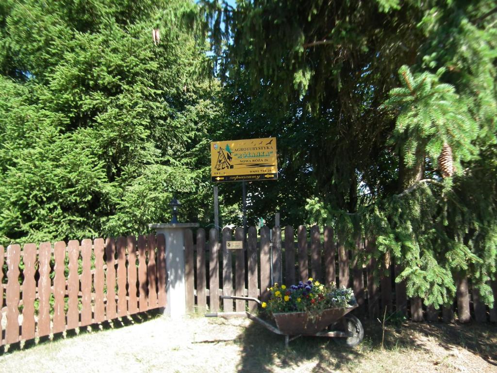 新托梅希尔Agroturystyka Różanka的围栏前的花篮标牌