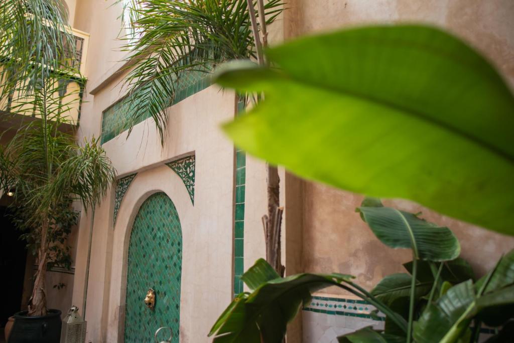 马拉喀什Riad Dar Habiba by Garden Wonders的绿门在植物丛中