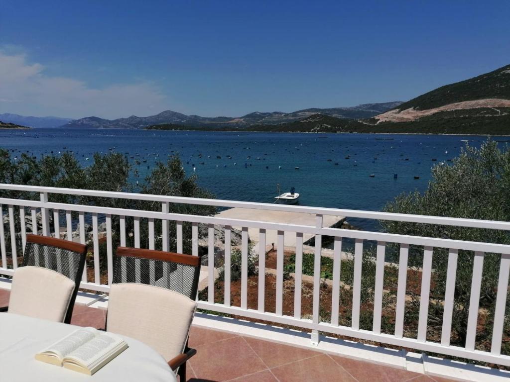 普特尼科维奇Beach apartments Seahorse and Seastar, Pelješac peninsula的享有水体景致的阳台