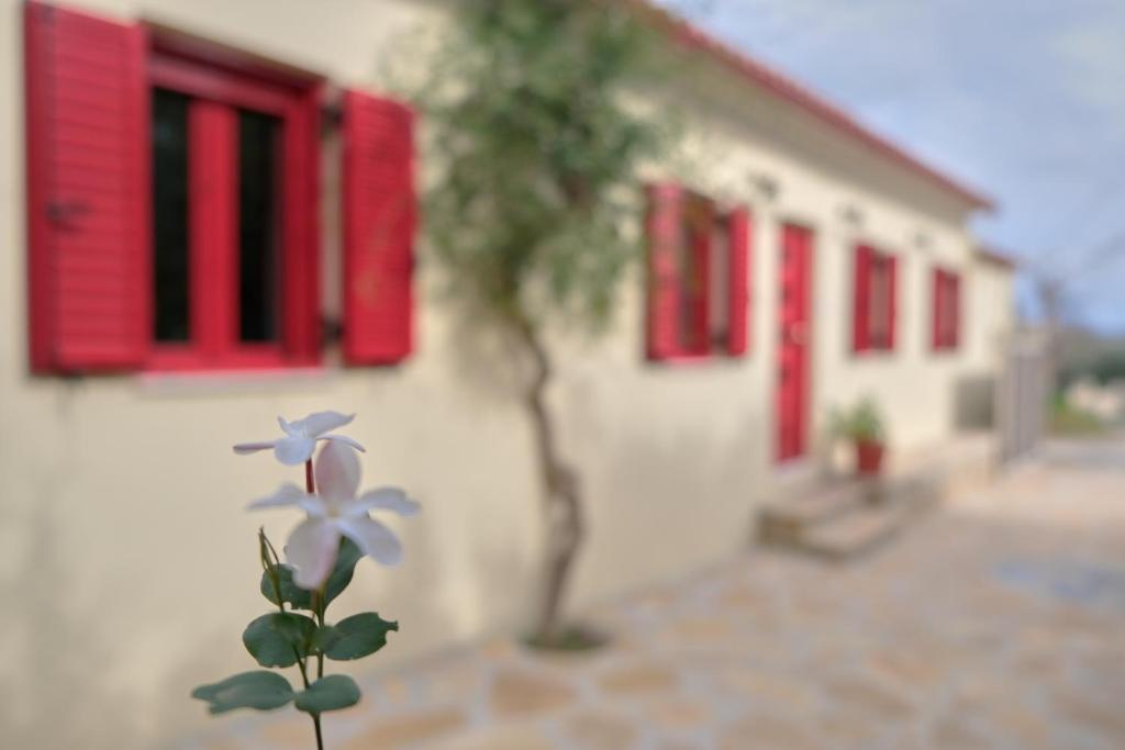 Makris GialosYasemia Wood & Stone Villa的红色窗户前的花