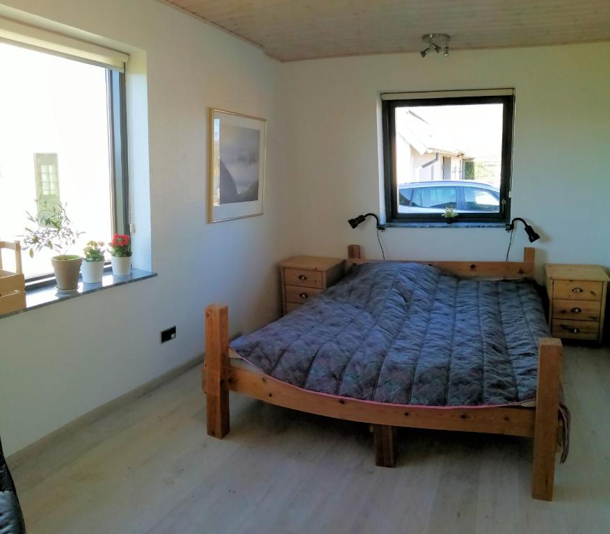 吉弗Hyrdeskolen的一间卧室设有一张床和两个窗户。