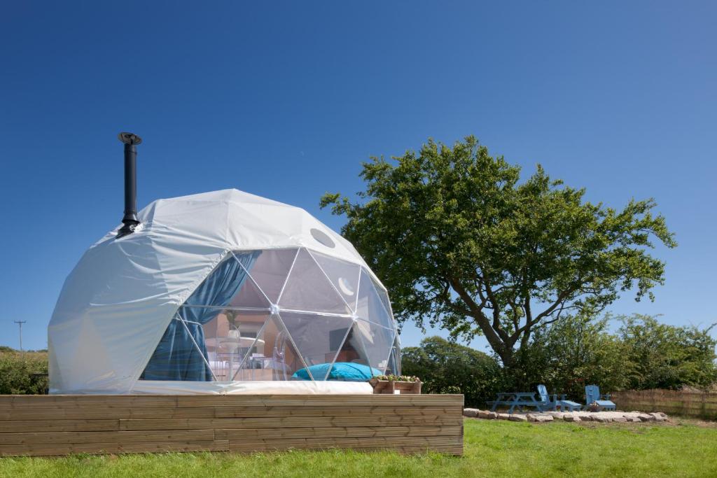 LochwinnochThe Dome at Mid Auchengowan的草场上的圆顶帐篷