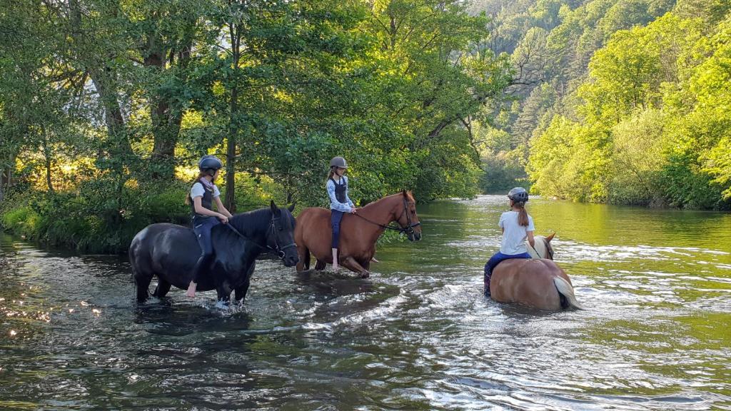 赖兴瑙Mühle in der Pferdewelt Reichenau的三人骑着马穿过河流