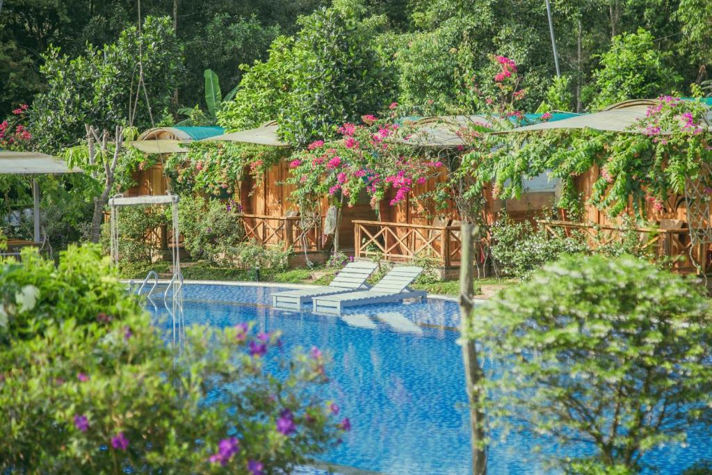富国Phu Quoc Valley Sen Bungalow的一座带椅子和树木及鲜花的游泳池