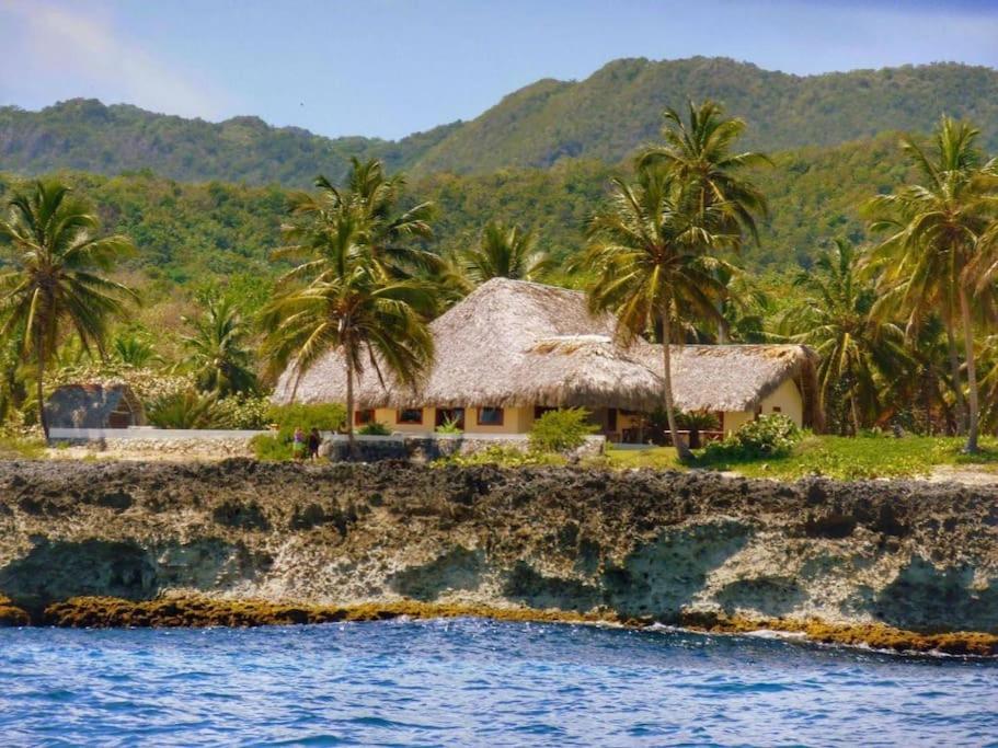 拉斯加勒拉斯Villa Punta Coral的棕榈树和水岛上的房子