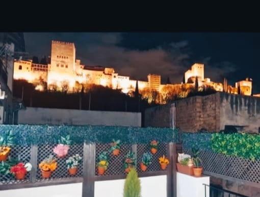 格拉纳达PATRIMONIO ARABE VISTA A LA ALHAMBRA的城市的夜晚,在围栏上放鲜花