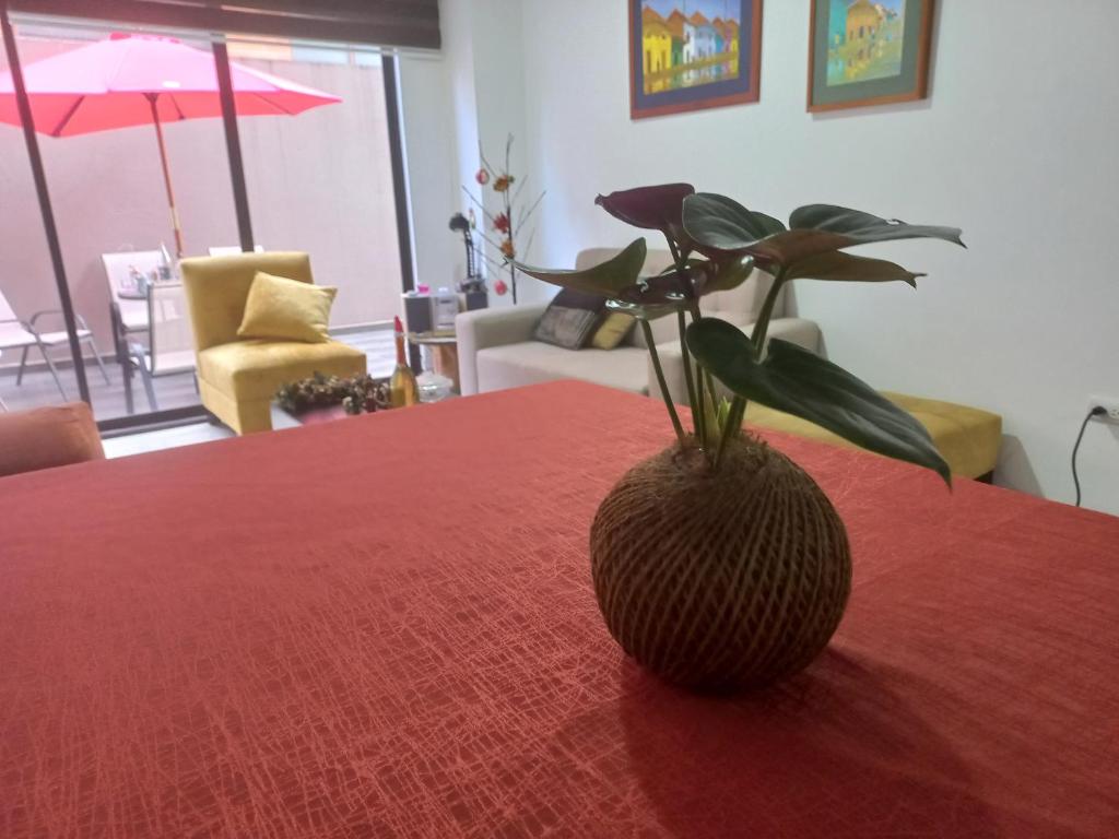 昆卡Departamento excelente ubicación con parqueo的坐在红桌前的植物