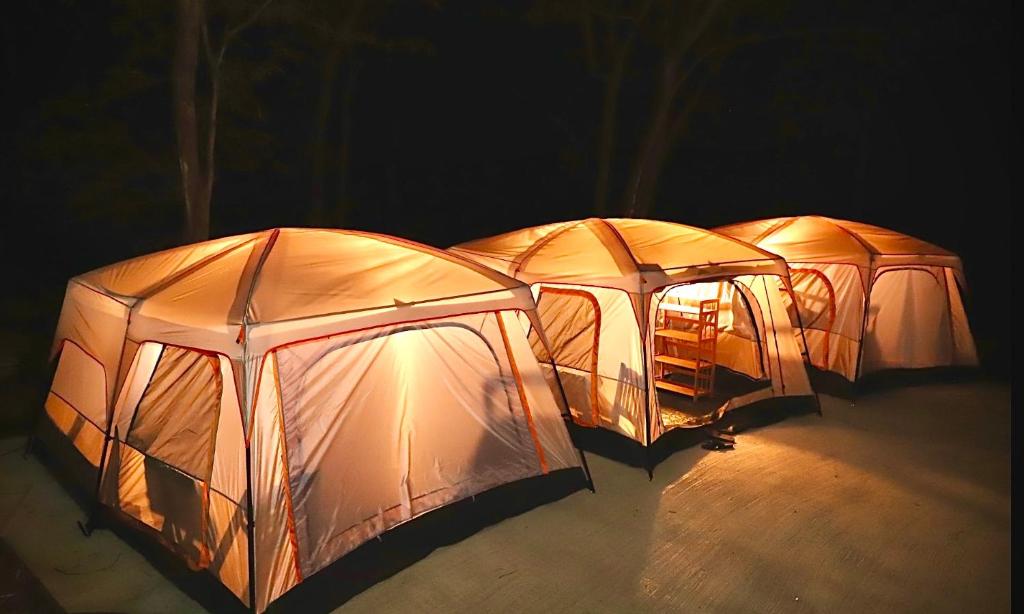 哈林海滩Joy Camping & Rooms的三个帐篷在黑暗的房间里排成一排