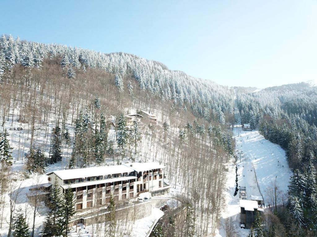 阿贝托内Residenza Riva Wellness Apartment Spa的一座位于雪覆盖的山边的建筑