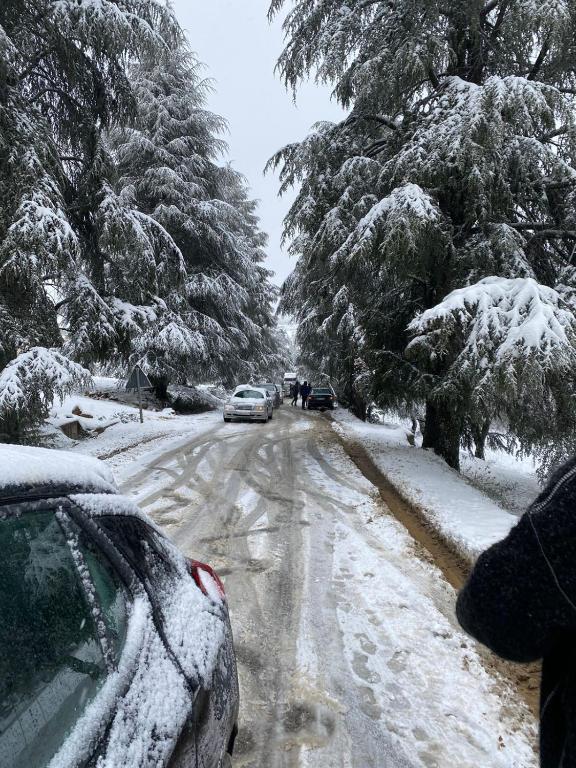 KetamaTlata ketama的一条雪覆盖着汽车的道路