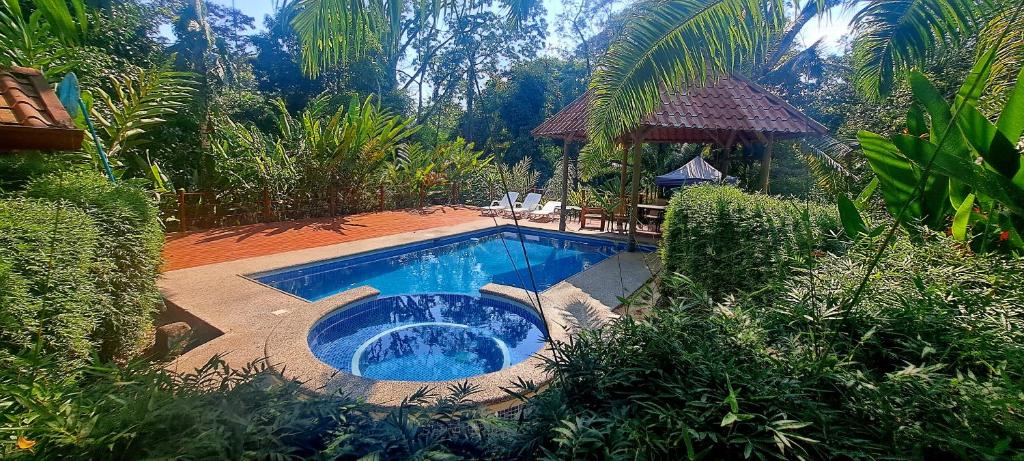 乌维塔Cabinas Costa Tropicana的花园中的一个游泳池